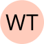 wael techer
